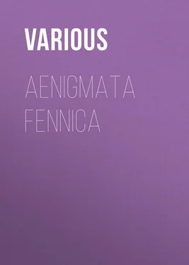 Various Aenigmata Fennica обложка книги