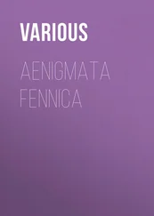 Various - Aenigmata Fennica