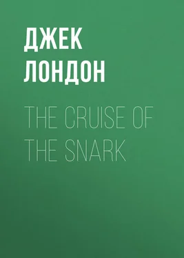 Джек Лондон The Cruise of the Snark обложка книги