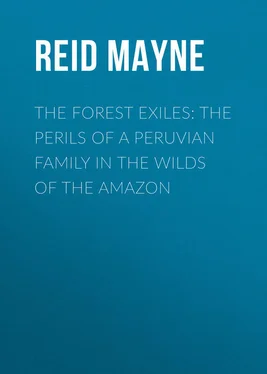 Mayne Reid The Forest Exiles: The Perils of a Peruvian Family in the Wilds of the Amazon обложка книги