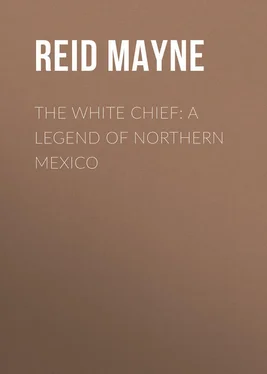 Mayne Reid The White Chief: A Legend of Northern Mexico обложка книги