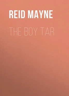 Mayne Reid The Boy Tar обложка книги