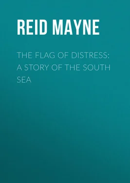 Mayne Reid The Flag of Distress: A Story of the South Sea обложка книги