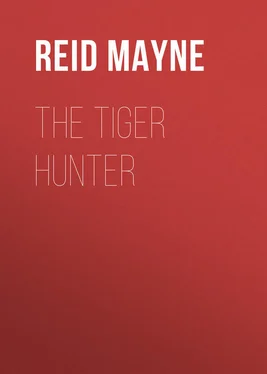 Mayne Reid The Tiger Hunter обложка книги