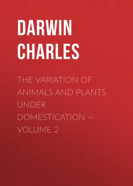 Charles Darwin The Variation of Animals and Plants under Domestication — Volume 2 обложка книги