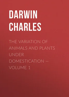 Charles Darwin The Variation of Animals and Plants under Domestication — Volume 1 обложка книги