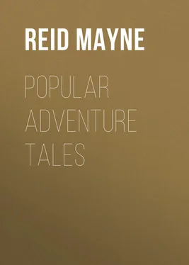 Mayne Reid Popular Adventure Tales обложка книги
