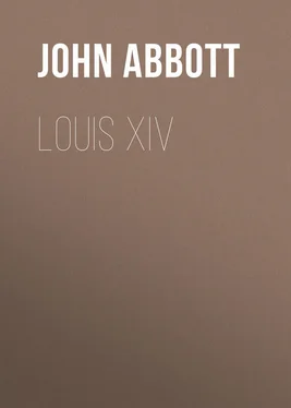 John Abbott Louis XIV обложка книги