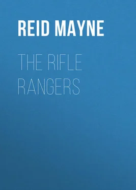 Mayne Reid The Rifle Rangers обложка книги