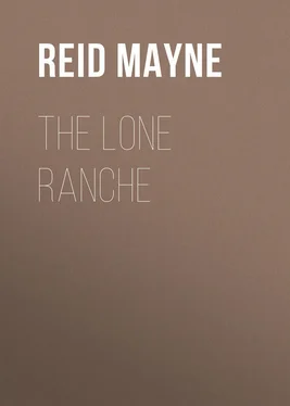 Mayne Reid The Lone Ranche обложка книги