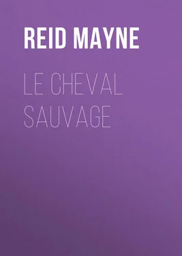 Mayne Reid Le cheval sauvage обложка книги