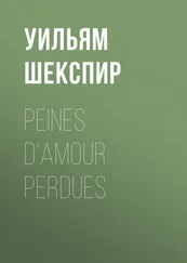 Уильям Шекспир - Peines d'amour perdues