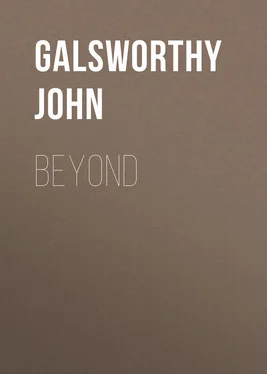 John Galsworthy Beyond обложка книги