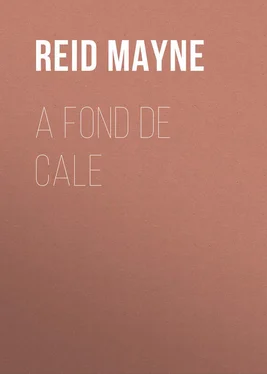 Mayne Reid A fond de cale обложка книги