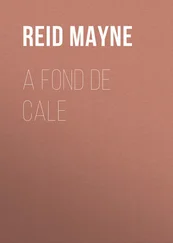 Mayne Reid - A fond de cale