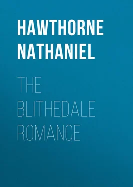 Nathaniel Hawthorne The Blithedale Romance обложка книги