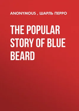 Array Anonymous The Popular Story of Blue Beard обложка книги