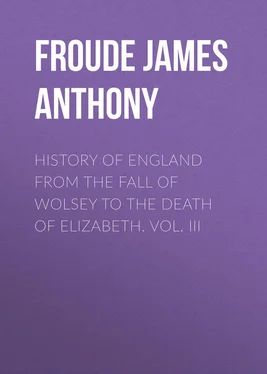 James Froude History of England from the Fall of Wolsey to the Death of Elizabeth. Vol. III обложка книги