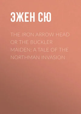 Эжен Сю The Iron Arrow Head or The Buckler Maiden: A Tale of the Northman Invasion обложка книги