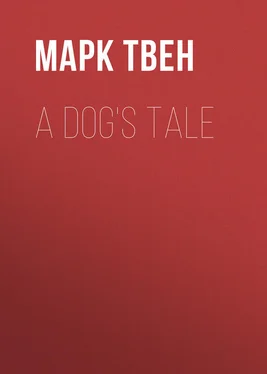 Марк Твен A Dog's Tale обложка книги