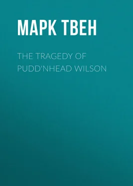 Марк Твен The Tragedy of Pudd'nhead Wilson обложка книги