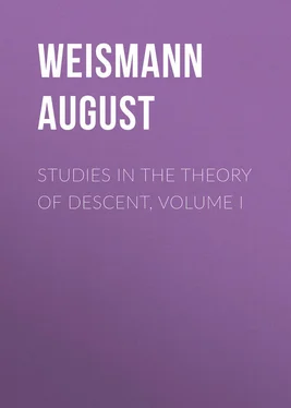 August Weismann Studies in the Theory of Descent, Volume I обложка книги