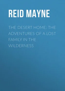 Mayne Reid The Desert Home: The Adventures of a Lost Family in the Wilderness обложка книги