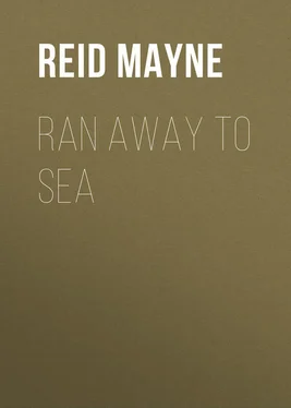 Mayne Reid Ran Away to Sea обложка книги