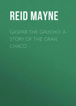 Mayne Reid Gaspar the Gaucho: A Story of the Gran Chaco обложка книги