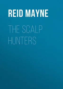 Mayne Reid The Scalp Hunters обложка книги