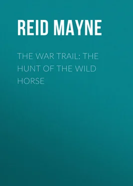 Mayne Reid The War Trail: The Hunt of the Wild Horse обложка книги