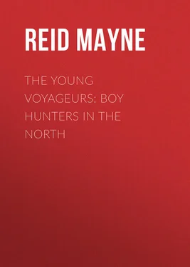 Mayne Reid The Young Voyageurs: Boy Hunters in the North обложка книги