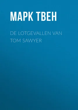 Марк Твен De Lotgevallen van Tom Sawyer обложка книги