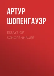 Артур Шопенгауэр - Essays of Schopenhauer