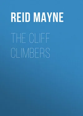 Mayne Reid The Cliff Climbers обложка книги