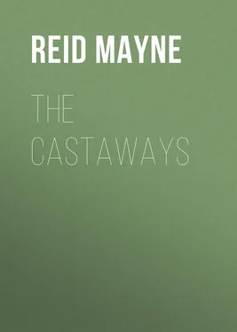 Mayne Reid The Castaways обложка книги