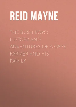 Mayne Reid The Bush Boys: History and Adventures of a Cape Farmer and his Family обложка книги