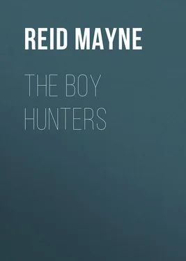 Mayne Reid The Boy Hunters обложка книги