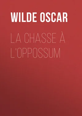 Oscar Wilde La chasse à l'oppossum обложка книги