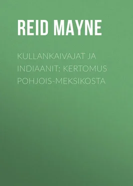 Mayne Reid Kullankaivajat ja indiaanit: Kertomus Pohjois-Meksikosta обложка книги