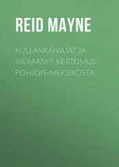 Mayne Reid - Kullankaivajat ja indiaanit - Kertomus Pohjois-Meksikosta