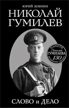 Юрий Зобнин Николай Гумилев. Слово и Дело обложка книги