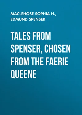 Edmund Spenser Tales from Spenser, Chosen from the Faerie Queene обложка книги