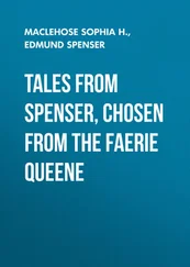 Edmund Spenser - Tales from Spenser, Chosen from the Faerie Queene