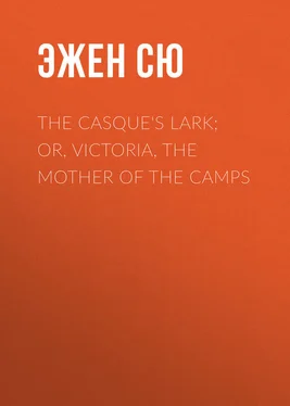 Эжен Сю The Casque's Lark; or, Victoria, the Mother of the Camps обложка книги