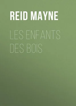 Mayne Reid Les enfants des bois обложка книги