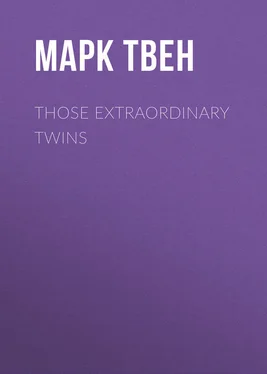 Марк Твен Those Extraordinary Twins обложка книги