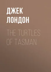 Джек Лондон - The Turtles of Tasman