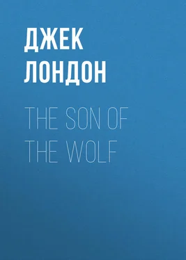 Джек Лондон The Son of the Wolf обложка книги