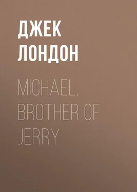 Джек Лондон Michael, Brother of Jerry обложка книги